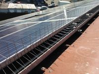 industriedach-mcs-taubenabwehrsystem-photovoltaikreinigung